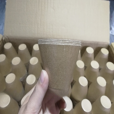 スタゲリ DIY 電動点火器 マッチ 花火 電気点火器のための紙殻 花火展示